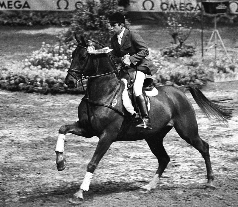 Ryttaren Hugo Simon rider hästen Gladstone.
