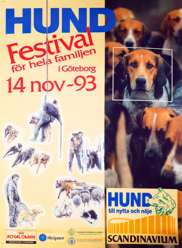 Poster för hundfestival för hela familjen.